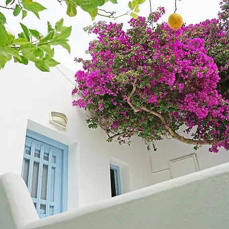 Appartement Klironomos