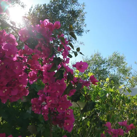 Appartement Klironomos