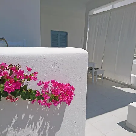 Klironomos 洛加拉斯