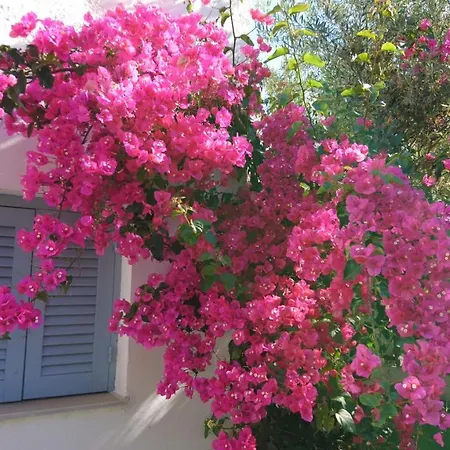 Klironomos Apartmán *